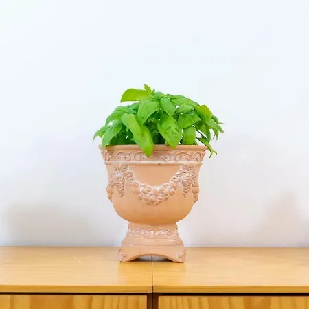 La Casetta Linda - New 2 Bedroom In With Seaview Terrace Apartamento