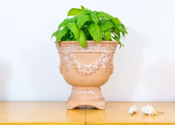 شقة La Casetta Linda - New 2 Bedroom In With Seaview Terrace