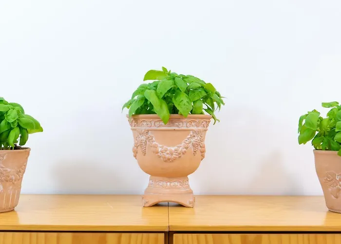 La Casetta Linda - New 2 Bedroom In With Seaview Terrace شقة